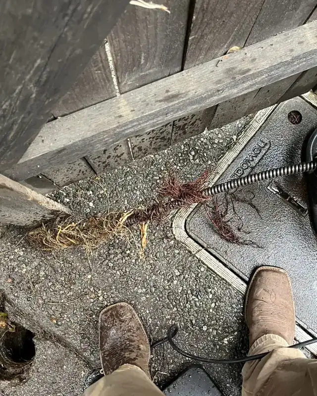 Drain machine at an outdoor cleanout on a Jeff's Plumbing job